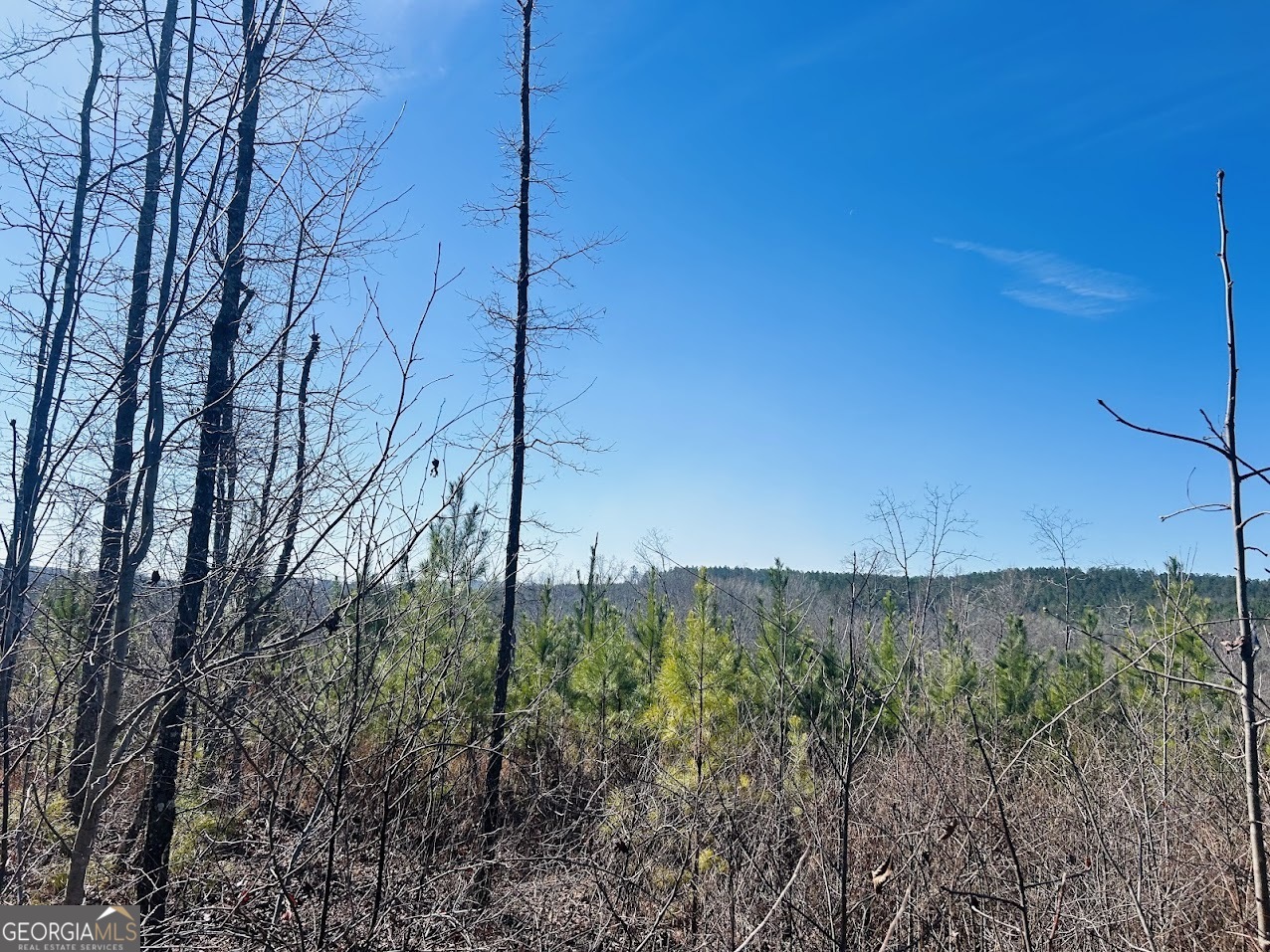 0 Old Highway 431 TRACT 1