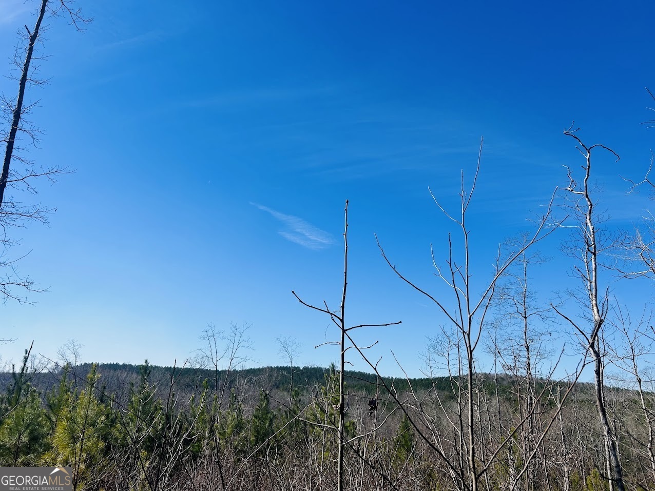 0 Old Highway 431 TRACT 1