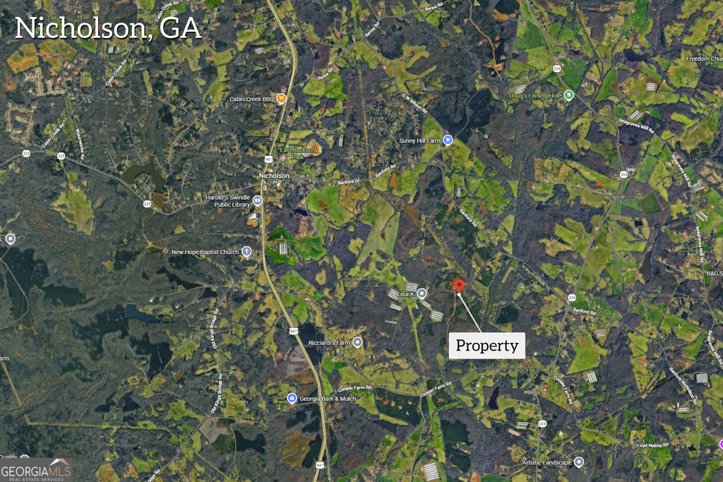 Photo of 1660 Watkins Farm Road, Nicholson, GA 30565 (MLS # 10821880)