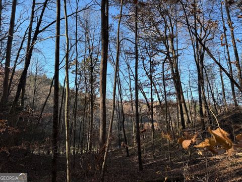 0 Whitepath RD Ellijay GA 30540