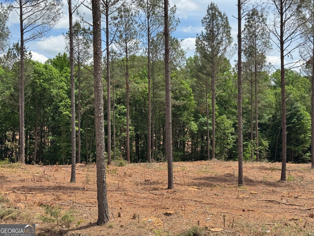 Photo of 0 Cromer Road, Dewy Rose, GA 30634 (MLS # 10813355)