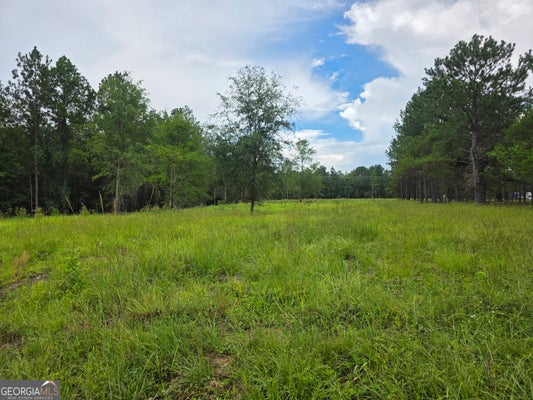 CV MOSLEY BLVD, LYONS, GA 30436 - Image ff3e1597372bead617c837dfa7008484/710036695