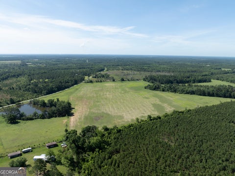 Photo of 3349 Scotland Road, Alamo, GA 30411 (MLS # 10781497)