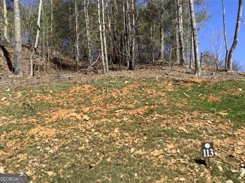 LOT113 High River XING Ellijay GA 30540