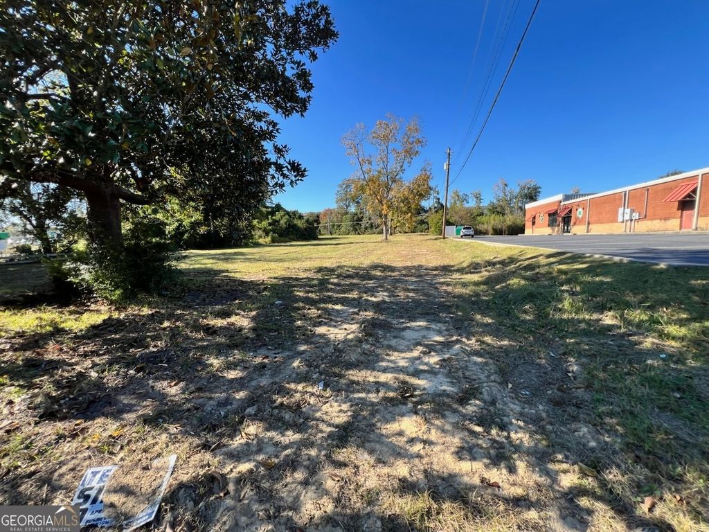 Photo of 723 S Main Street, Statesboro, GA 30458 (MLS # 10666142)