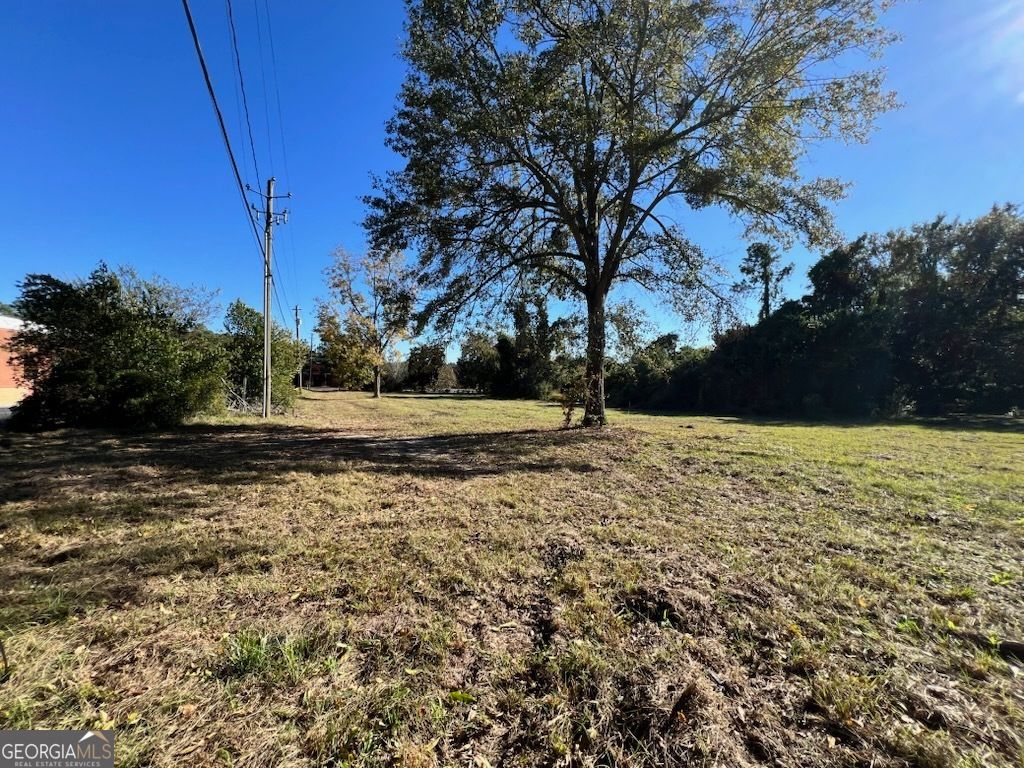 Photo of 723 S Main Street, Statesboro, GA 30458 (MLS # 10666142)