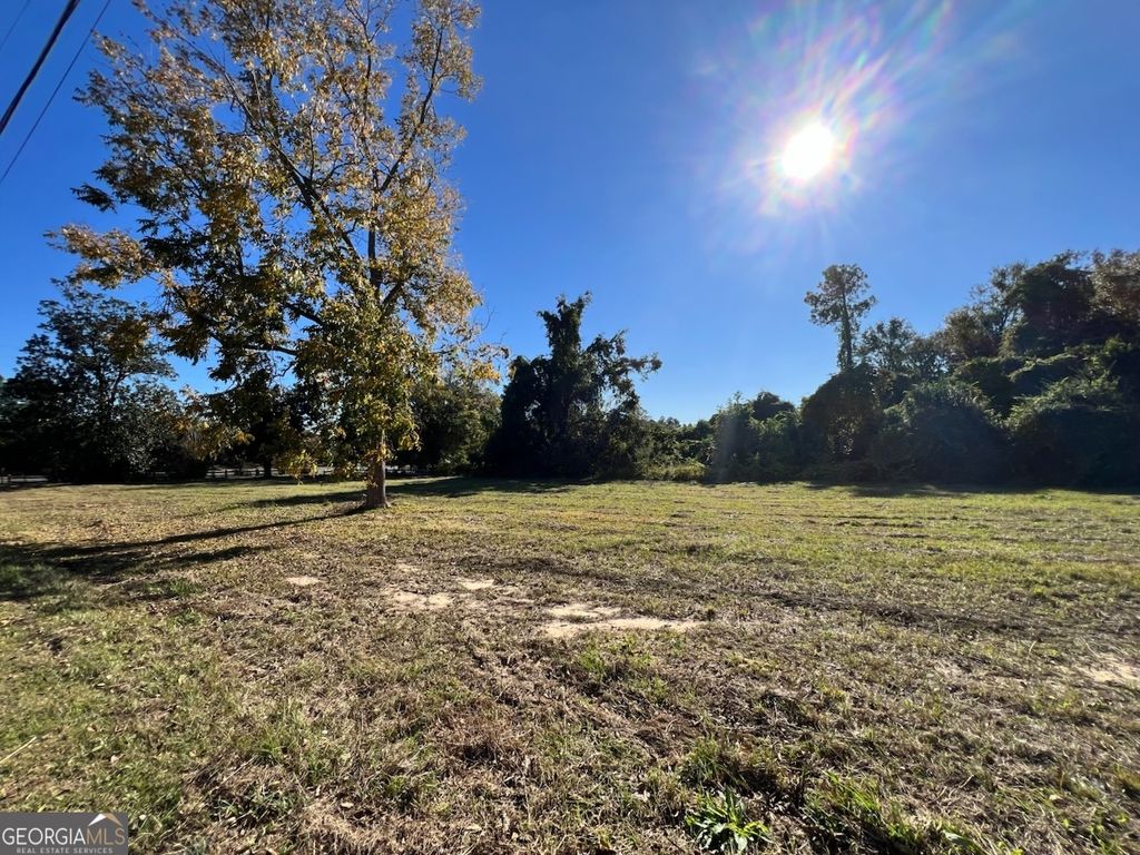 Photo of 723 S Main Street, Statesboro, GA 30458 (MLS # 10666142)