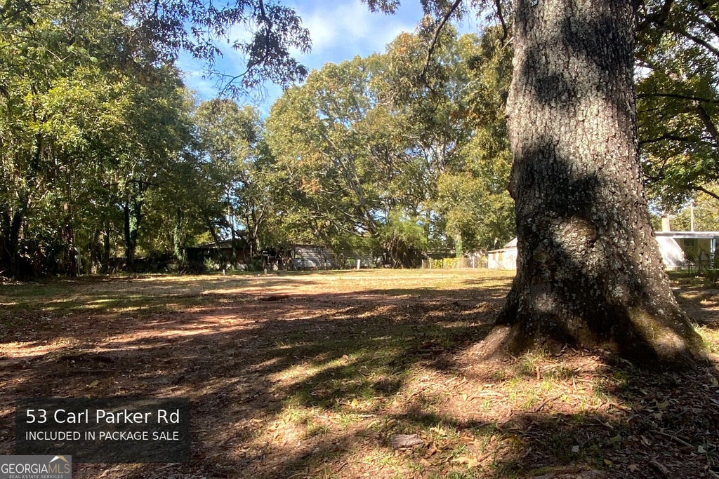 Photo of 40415383 Carl Parker Road, Hampton, GA 30228 (MLS # 10880761)