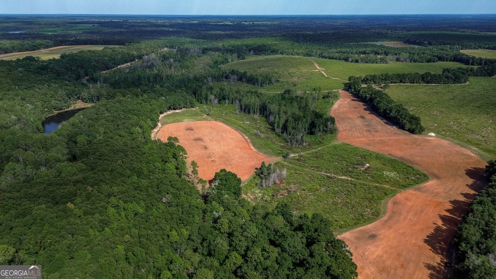 Photo of 1199 Rural Hill Church Road, Preston, GA 31824 (MLS # 10855956)