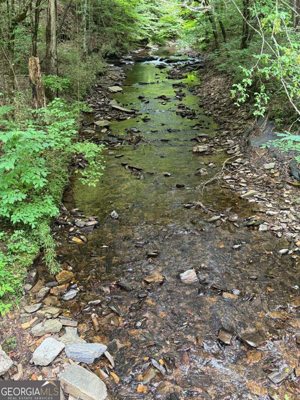 Photo of 1634 Carman Way, Ranger, GA 30734 (MLS # 10710511)