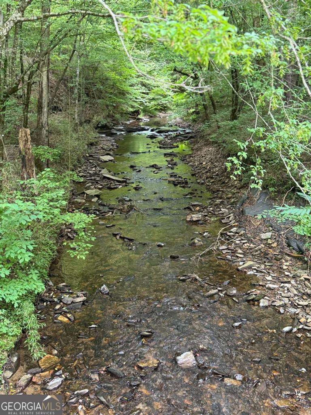 Photo of 1634 Carman Way, Ranger, GA 30734 (MLS # 10710511)