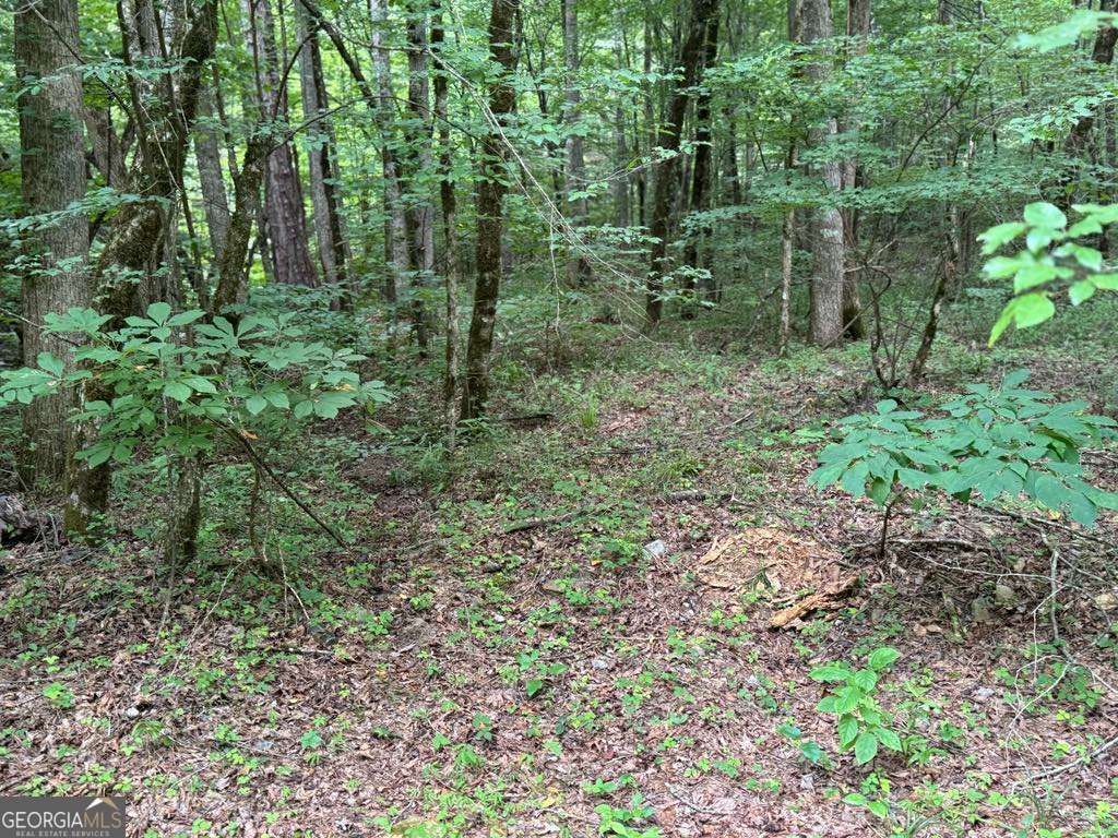 Photo of 1634 Carman Way, Ranger, GA 30734 (MLS # 10710511)