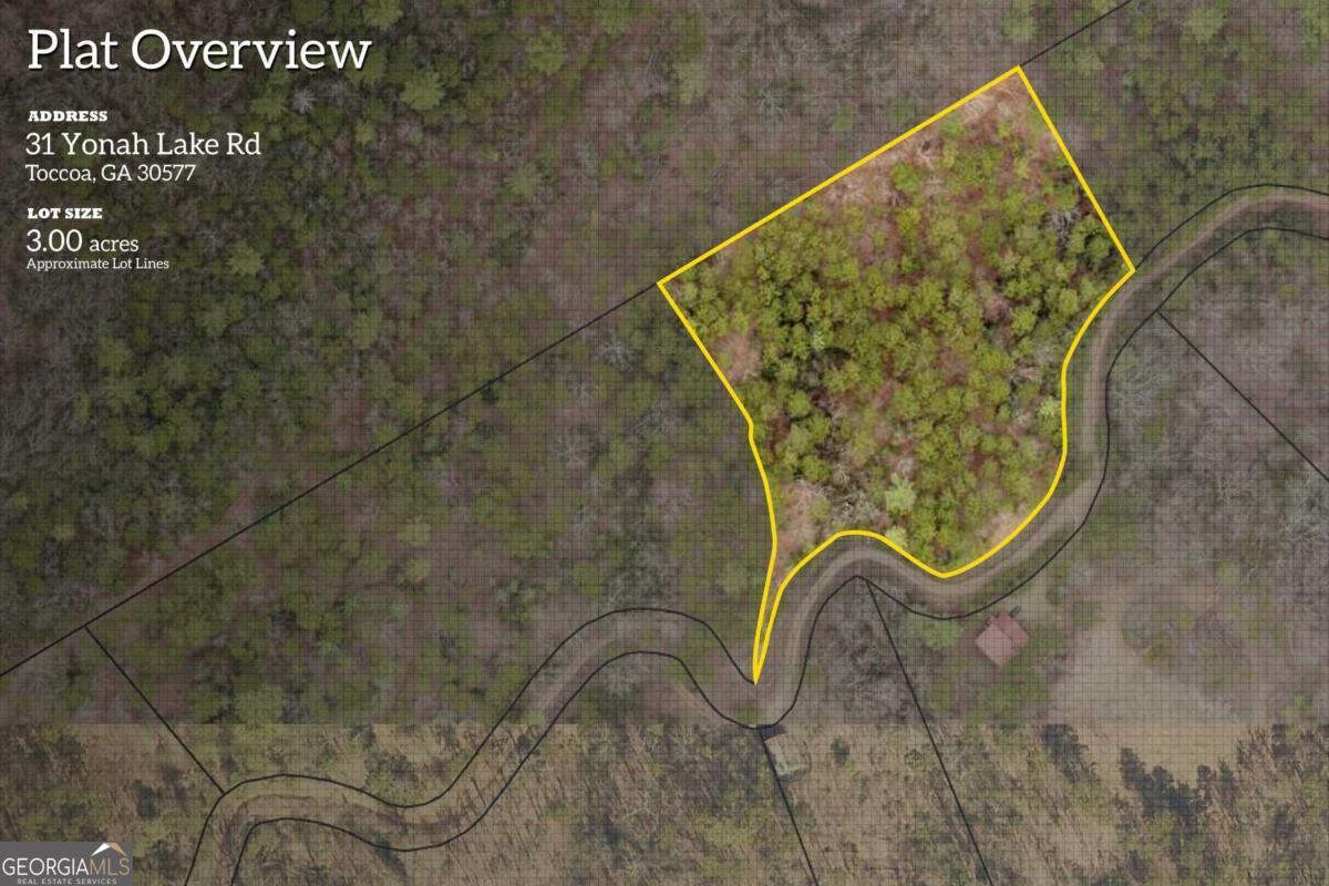 31 Yonah Lake RD