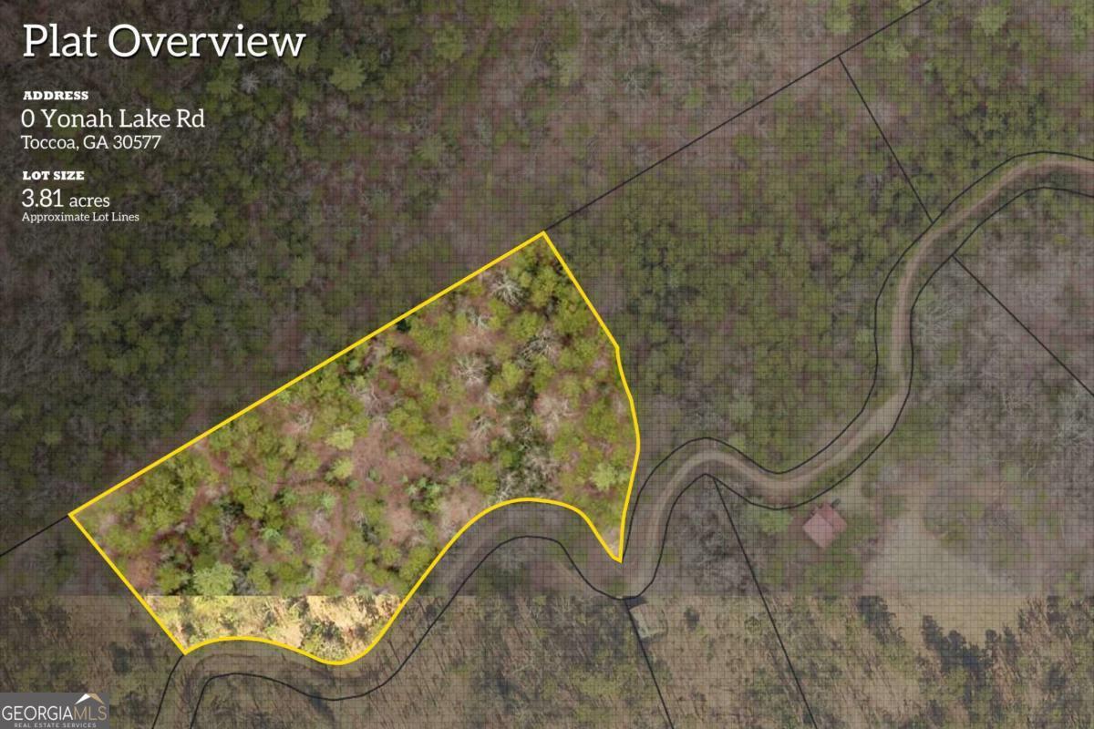31 Yonah Lake RD