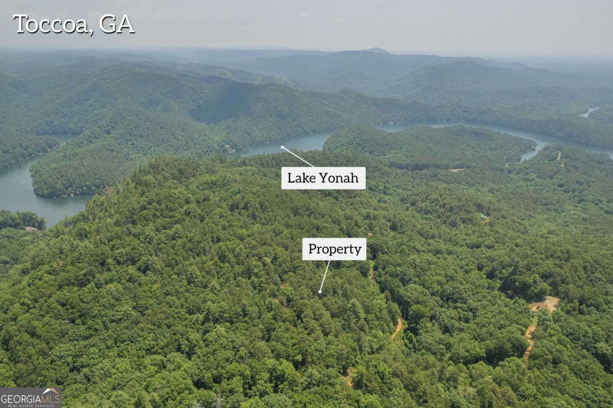 31 Yonah Lake RD