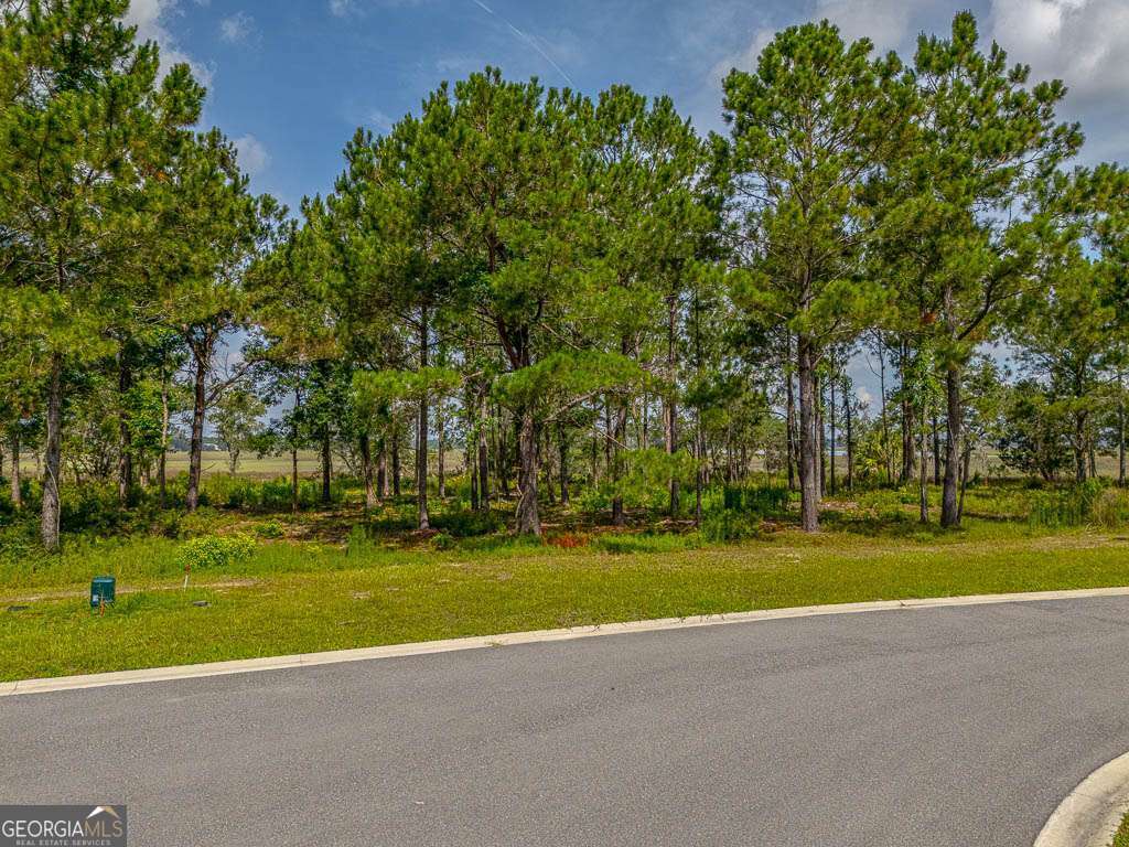 LOT 98 Wards WAY