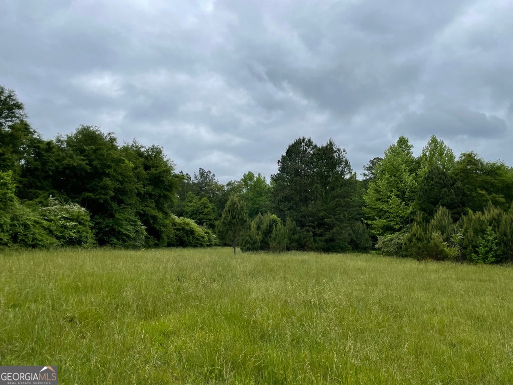 Photo of 216 Mcmichen Road, Dallas, GA 30157 (MLS # 10046177)
