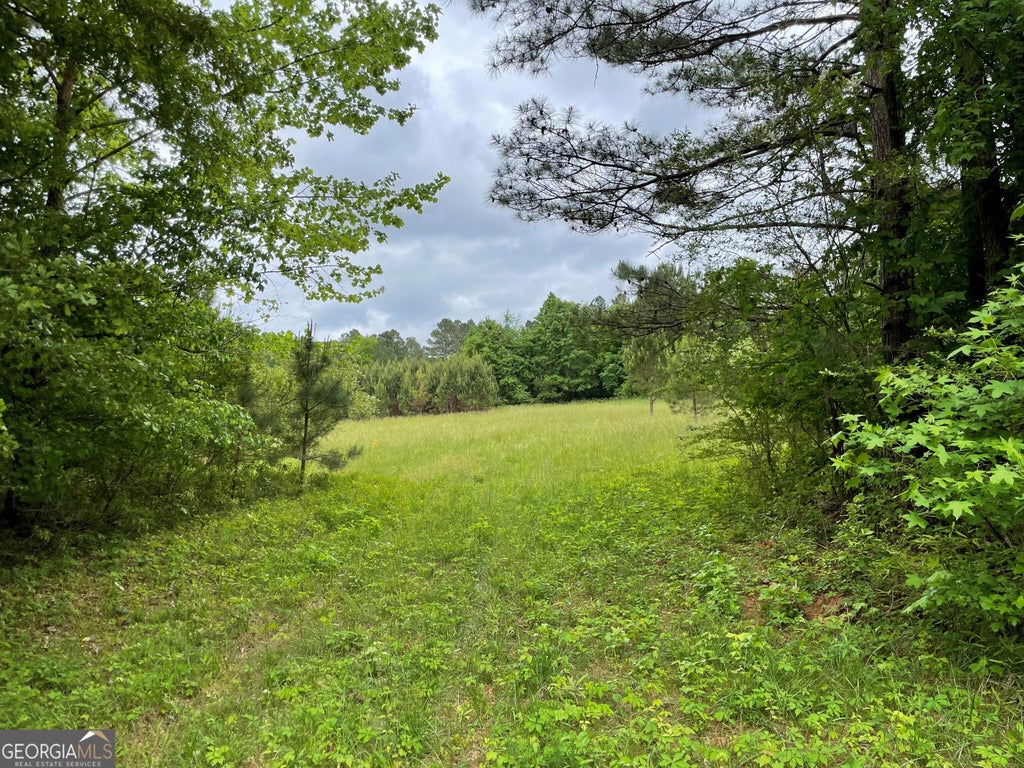 Photo of 216 Mcmichen Road, Dallas, GA 30157 (MLS # 10046177)