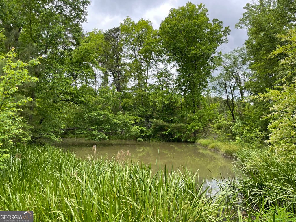 Photo of 216 Mcmichen Road, Dallas, GA 30157 (MLS # 10046177)
