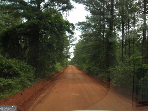 Photo of 0 Devoe Road, Andersonville, GA 31711 (MLS # 10685125)