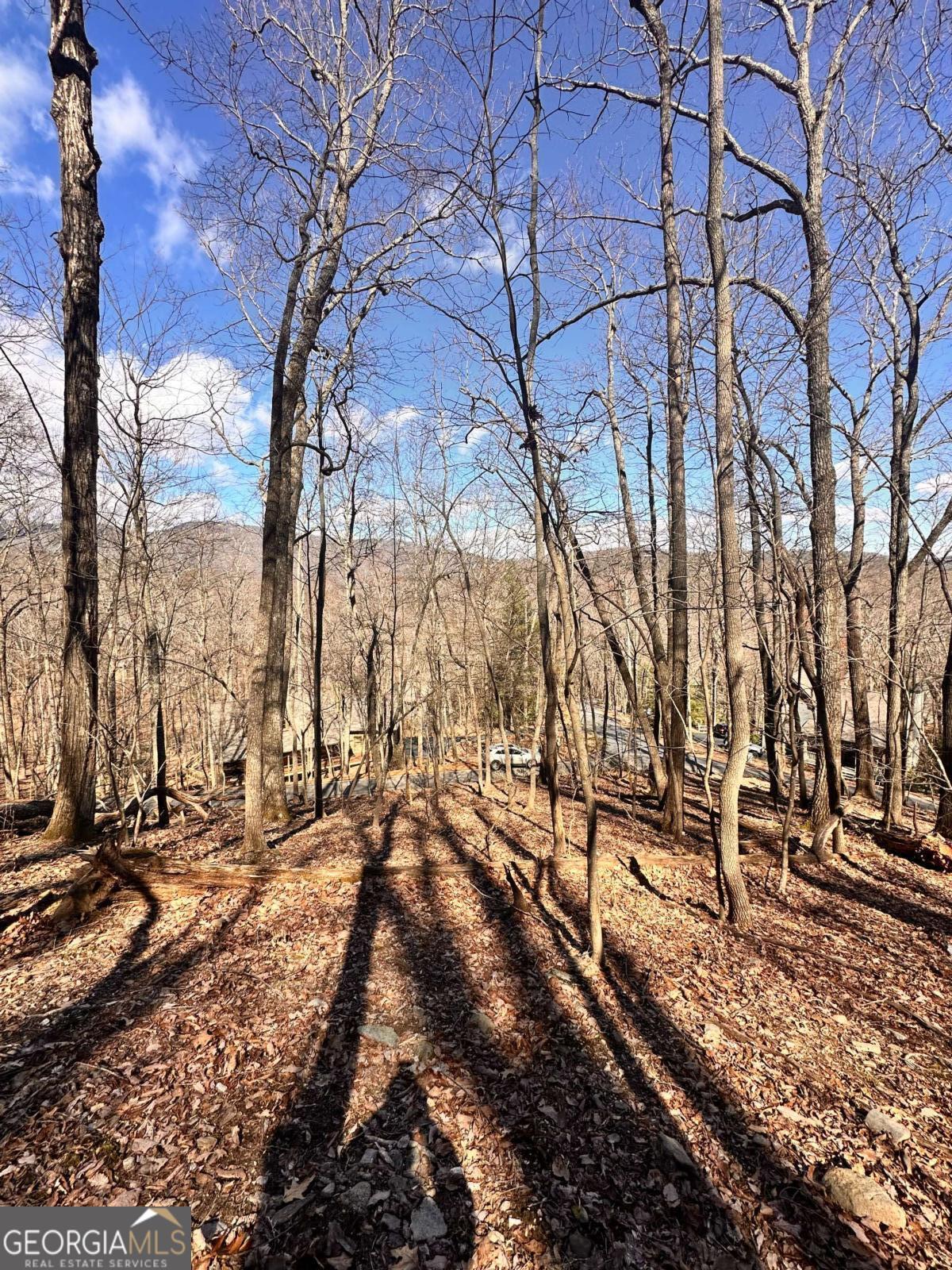 8041 Wilderness PKWY