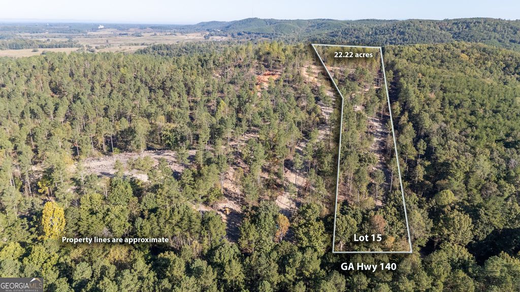 Photo of 3887 HWY 140 NE, Rydal, GA 30171 (MLS # 10632137)