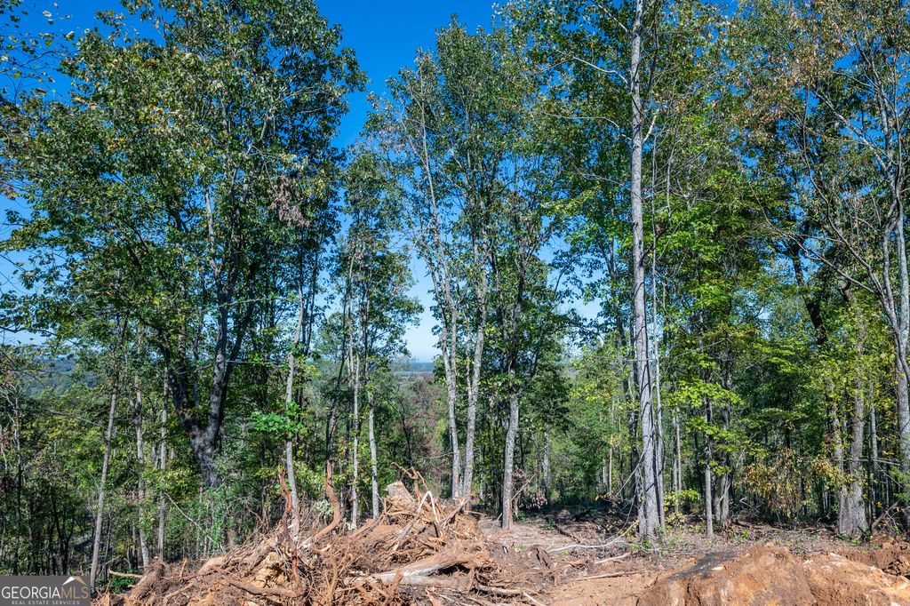 Photo of 3887 HWY 140 NE, Rydal, GA 30171 (MLS # 10632137)