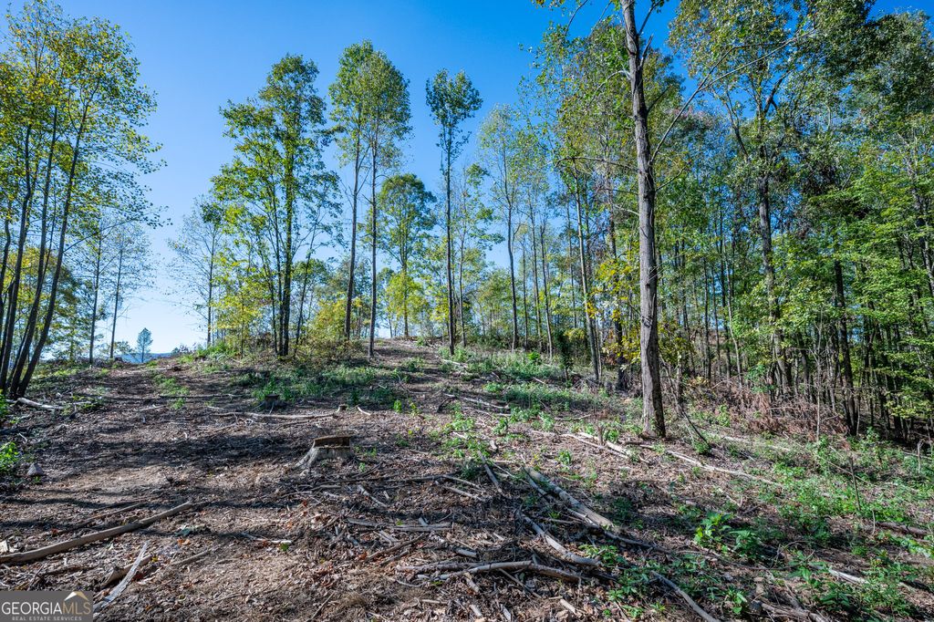 Photo of 3887 HWY 140 NE, Rydal, GA 30171 (MLS # 10632137)