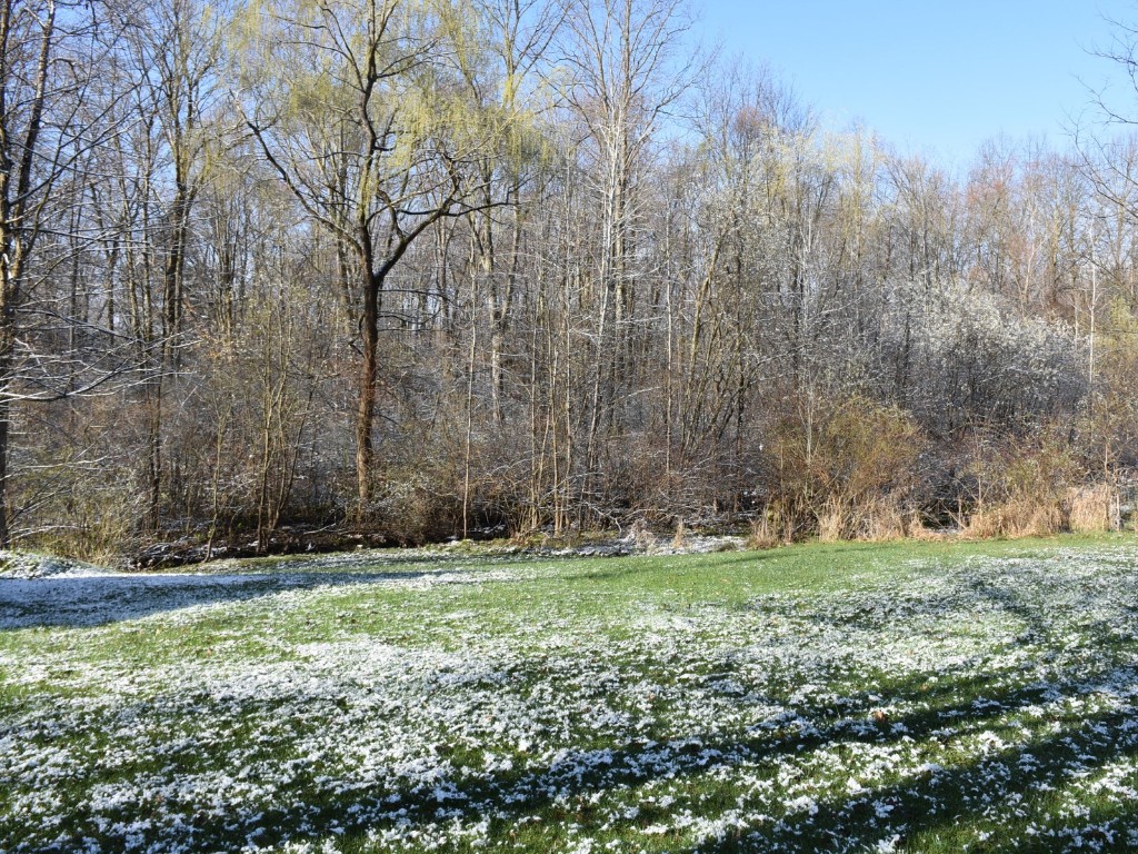 1429 Quick Drive, Espyville, Pennsylvania image 9