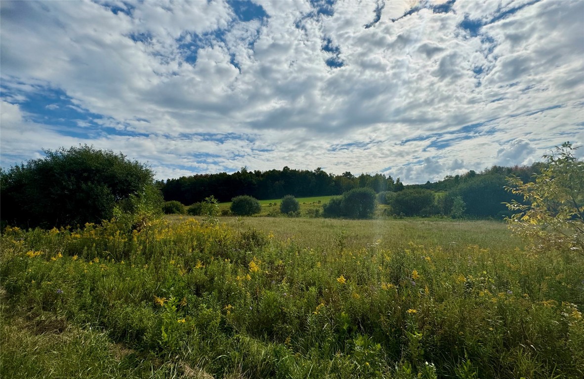 Hill Road, Erie, Pennsylvania image 4