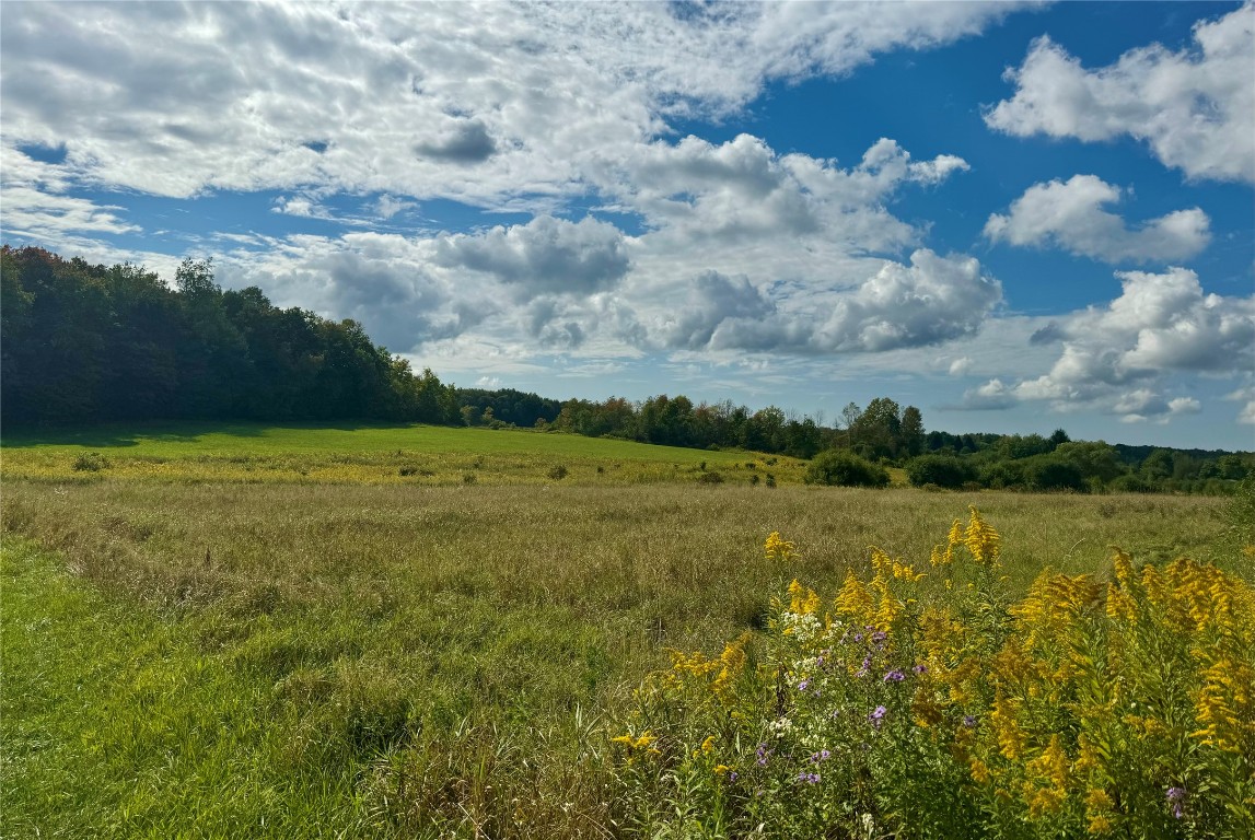 Hill Road, Erie, Pennsylvania image 1