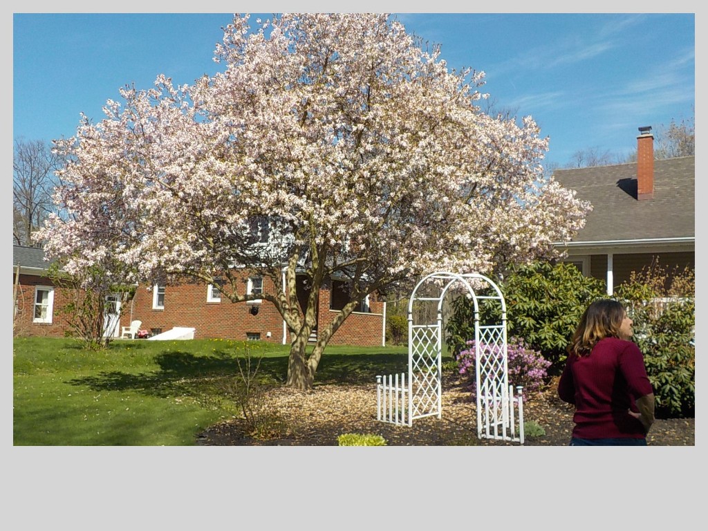 5642 Rockledge Drive, Erie, Pennsylvania image 3