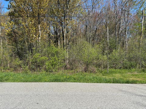 Vacant Land For Sale - Melvin Road<br/> Erie County, Erie, PA 16509