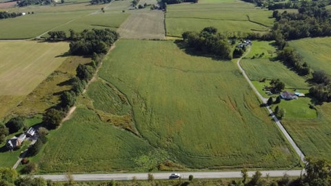 Photo for COLUMBIANA Road