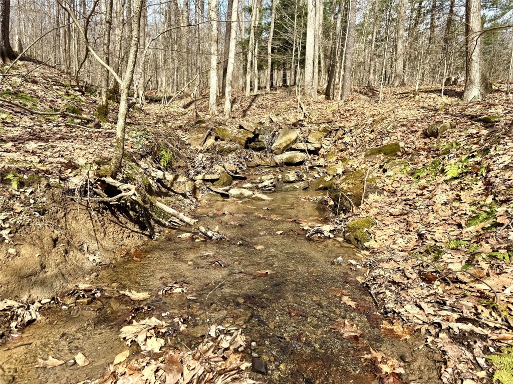 1975 Abraham Hollow Road, Youngsville, Pennsylvania image 12