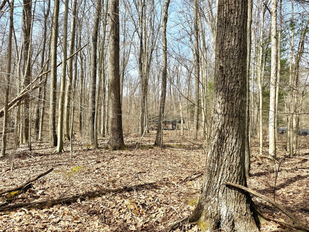 1975 Abraham Hollow Road, Youngsville, Pennsylvania image 20