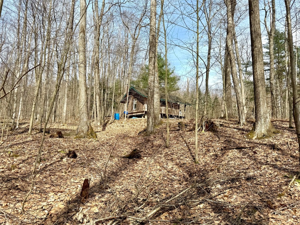 1975 Abraham Hollow Road, Youngsville, Pennsylvania image 19