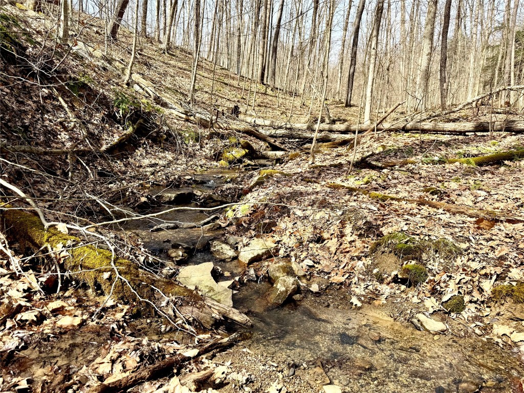 1975 Abraham Hollow Road, Youngsville, Pennsylvania image 13