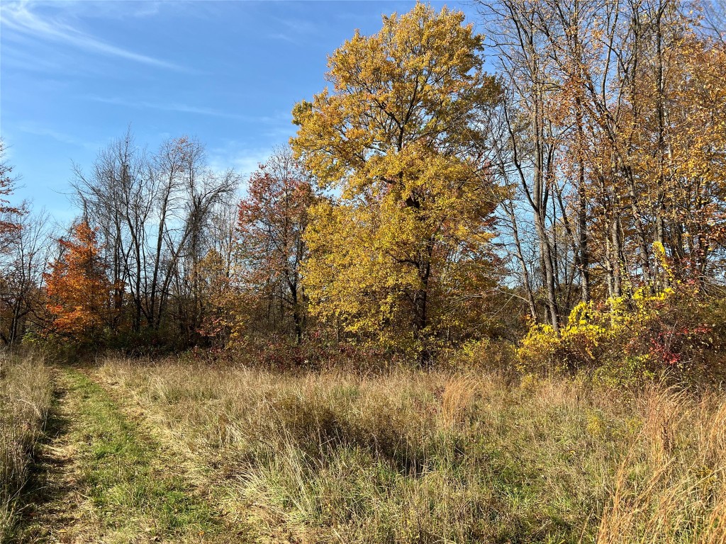 Cole Spring Road, Girard, Pennsylvania image 2