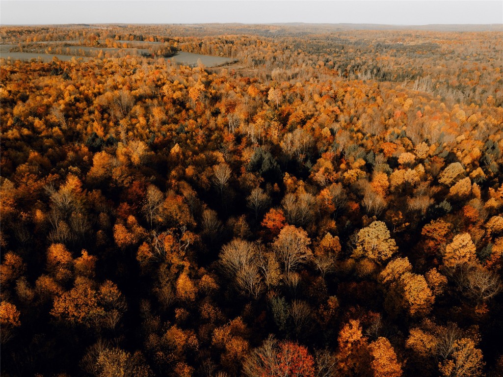 Mickle Hill Road, Spring Creek, Pennsylvania image 16