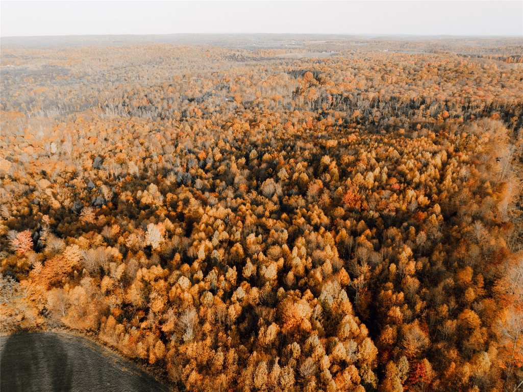 Mickle Hill Road, Spring Creek, Pennsylvania image 4