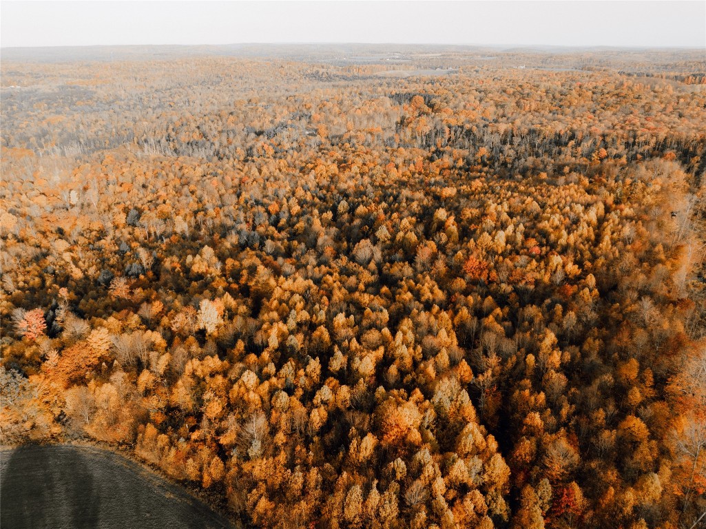 Mickle Hill Road, Spring Creek, Pennsylvania image 3