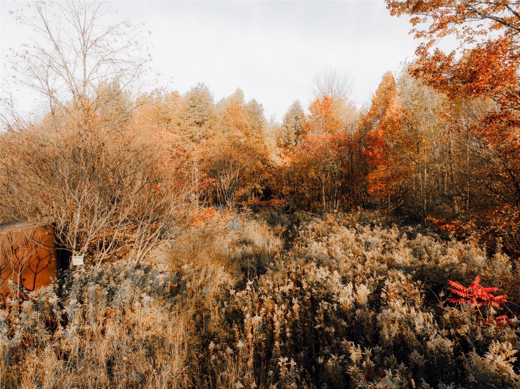 Mickle Hill Road, Spring Creek, Pennsylvania image 2