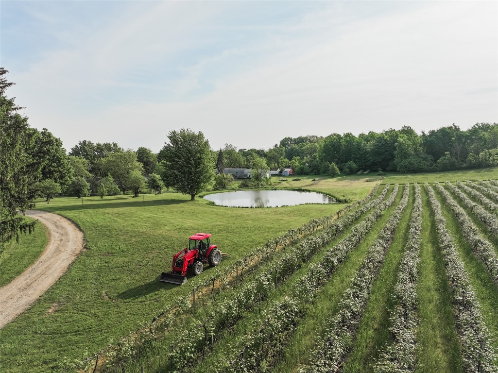 8565 & 8583 Belle Road, Harborcreek, Pennsylvania image 36