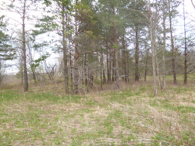 4173 Depot Road, Erie, Pennsylvania image 3