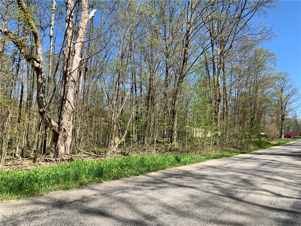 Ellis Road, Cambridge Springs, Pennsylvania image 7