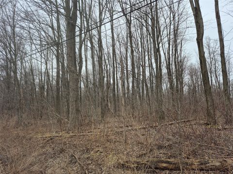 Vacant Land For Sale - Rte 6n Street<br/> Albion, PA 16401
