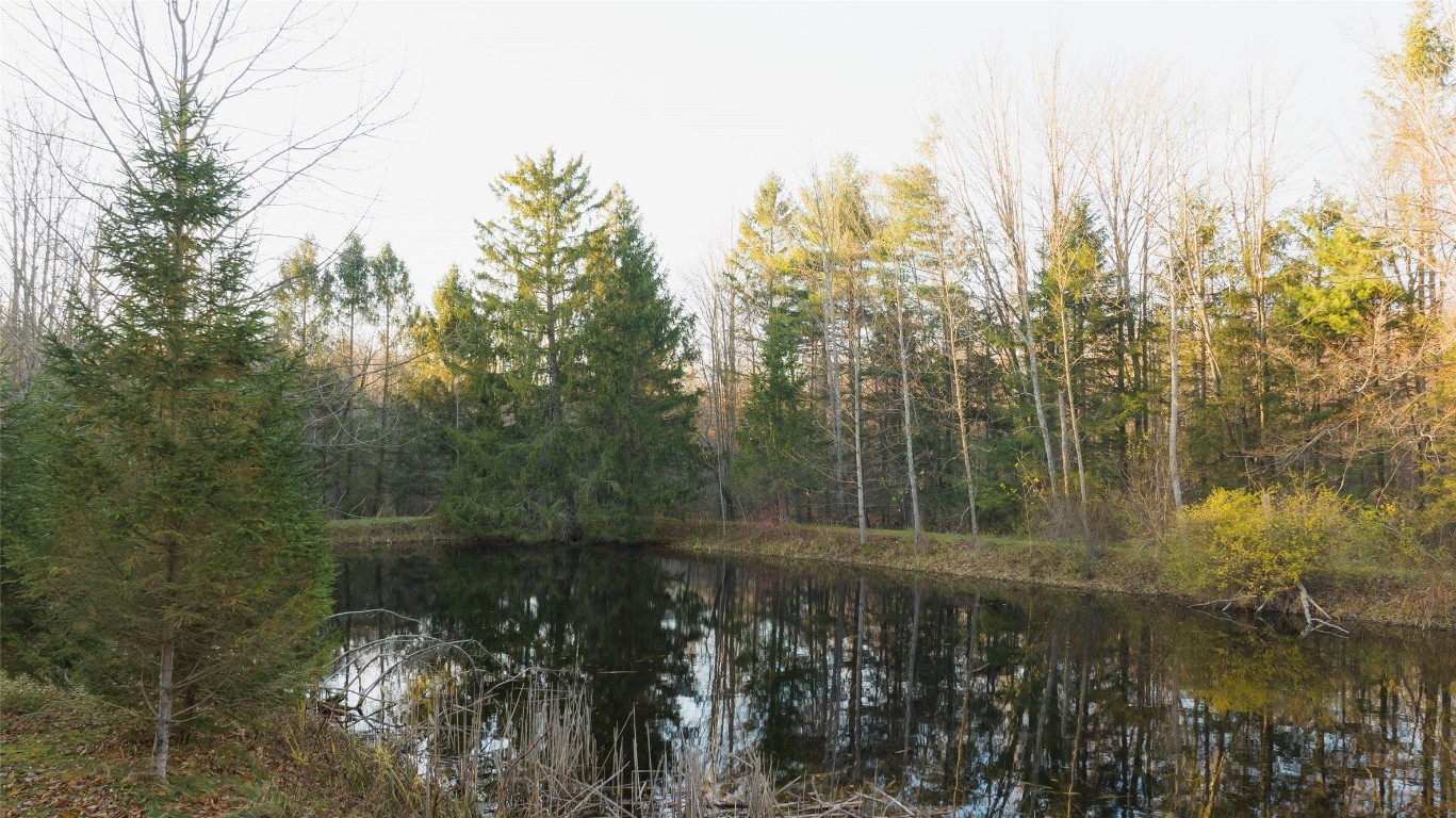 Reservoir Road, Albion, Pennsylvania image 3