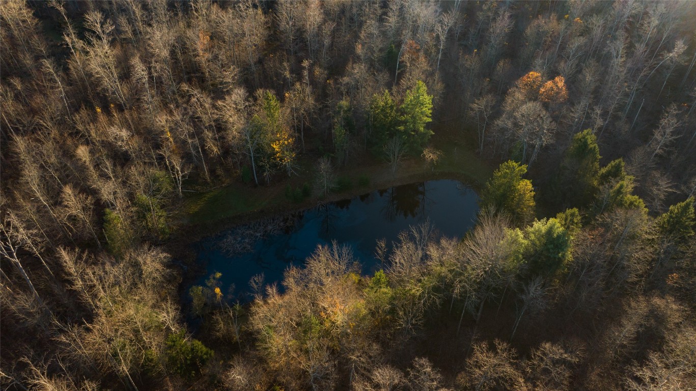 Reservoir Road, Albion, Pennsylvania image 7