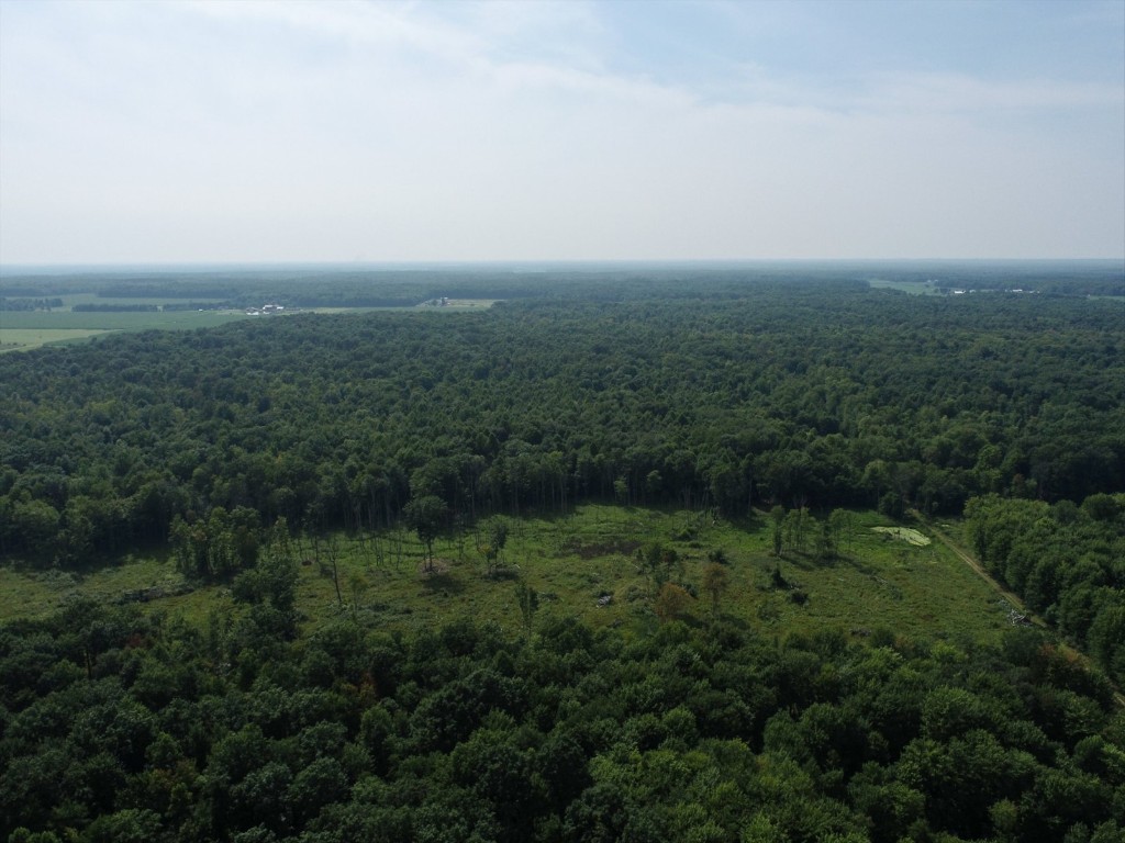 20 Acres On Reeds Corner Road, Conneautville, Pennsylvania image 9